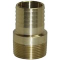 Ashland Water Group 1/2" Brs Male Adapter MA50NL